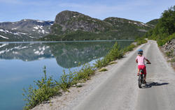 Borna sine turreglar