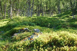 Kirkhaugen, Tufter - Lavangen