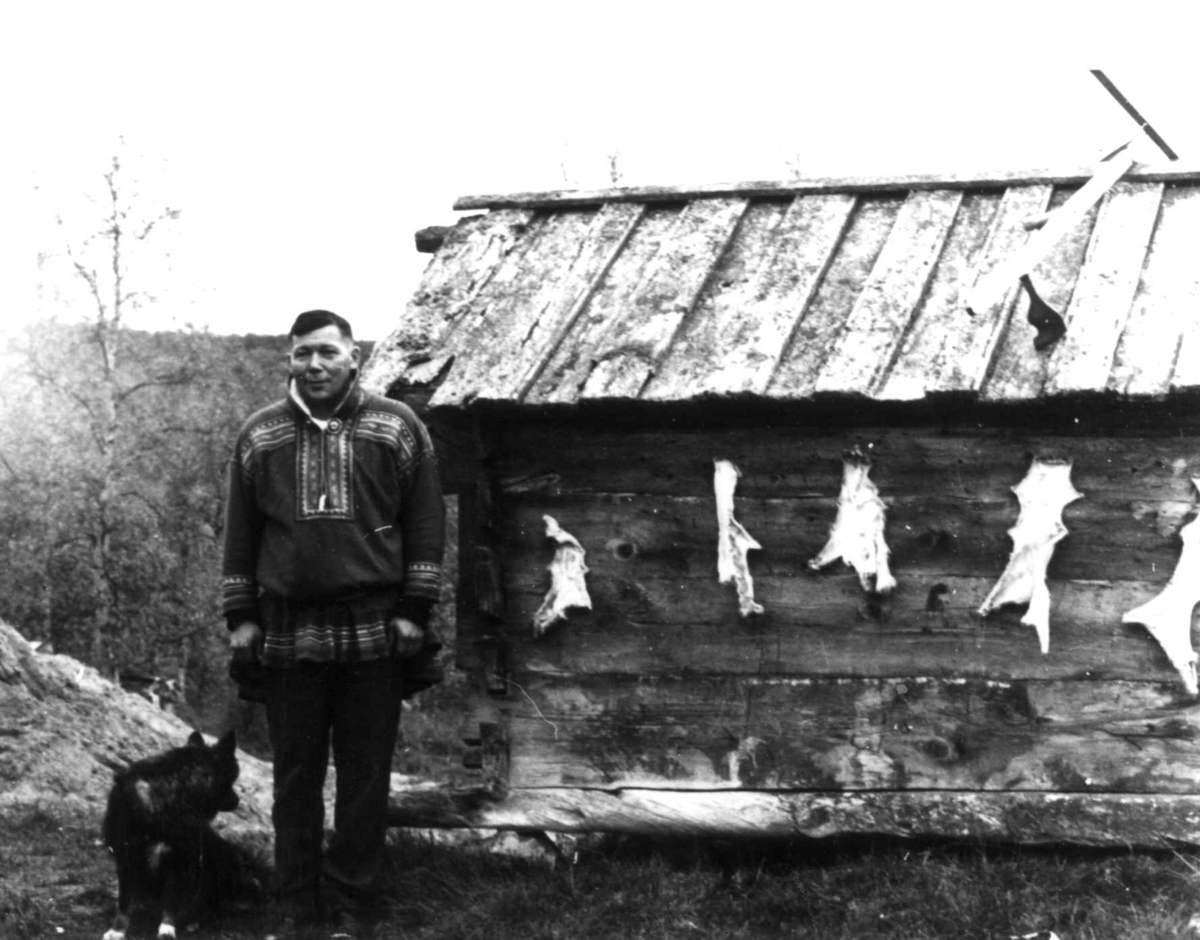 Same, Per Anders Turi, med hund ved en husvegg med leggskinnav ku som henger til tørk. Masi, Kautokeino, Finnmark, 1967.