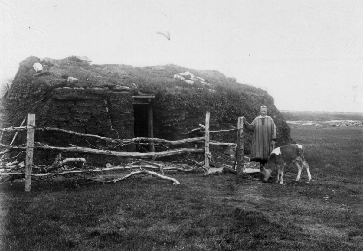 Fjøsgamme, antatt Kistrand i Finnmark. Kvinne i samisk drakt og ku står utenfor.
Serie fotografert av Robert Collett (1842-1913), amatørfotograf og professor i zoologi.
