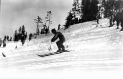 Slalåmrenn, Tryvannsåsen, Oslo 1934. En skiløper i fart ned 