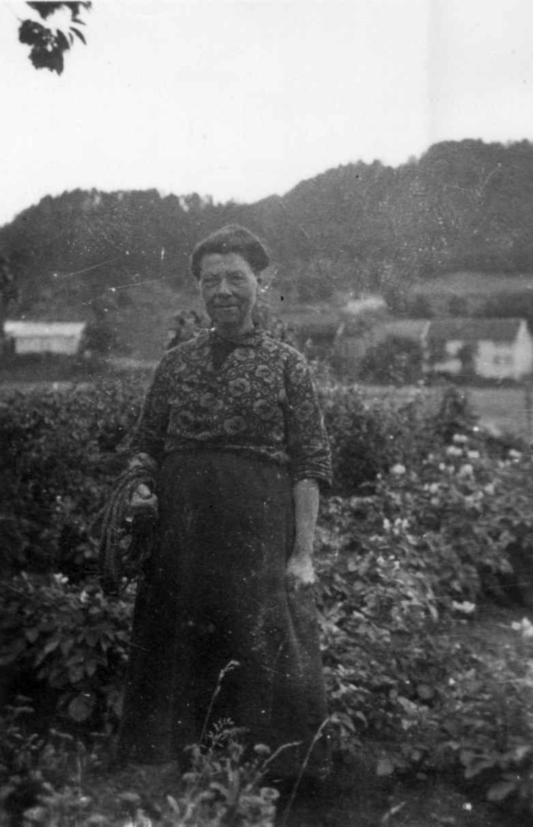 Fru Targjerd Hellesvik i hagen. Eiken 1937.