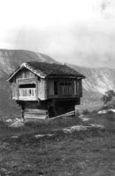 Valle, Setesdal, Aust-Agder. antatt 1924. Fra "De Schreiners