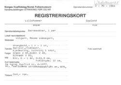 Barnesokker, 1 par, strikking