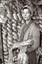 Personalalbum fra Christiania Seildugsfabrik, påbegynt i 195