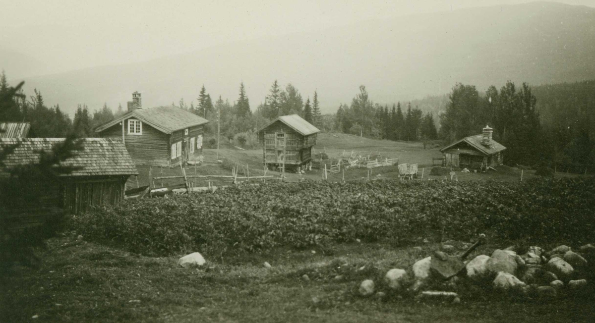 Gårdstun med loft fra 1815, Bøle, Veggli, Rollag, Buskerud. Fotografet 1929.