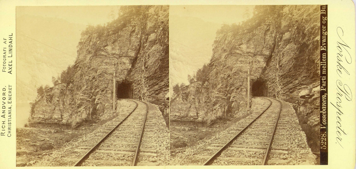 Vossebanen. Parti mellom Evanger og Bulken, Voss.
Fra fotograf Axel Lindahls (1841-1906) serie stereofotografier, "Norske Prospecter".
