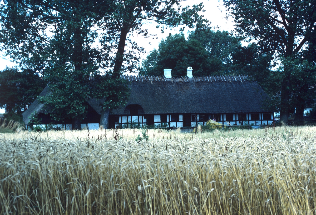 Bindingsverkshus på gård på Fyn, Danmark. Illustrasjonsbilde for Bonytt 1983.