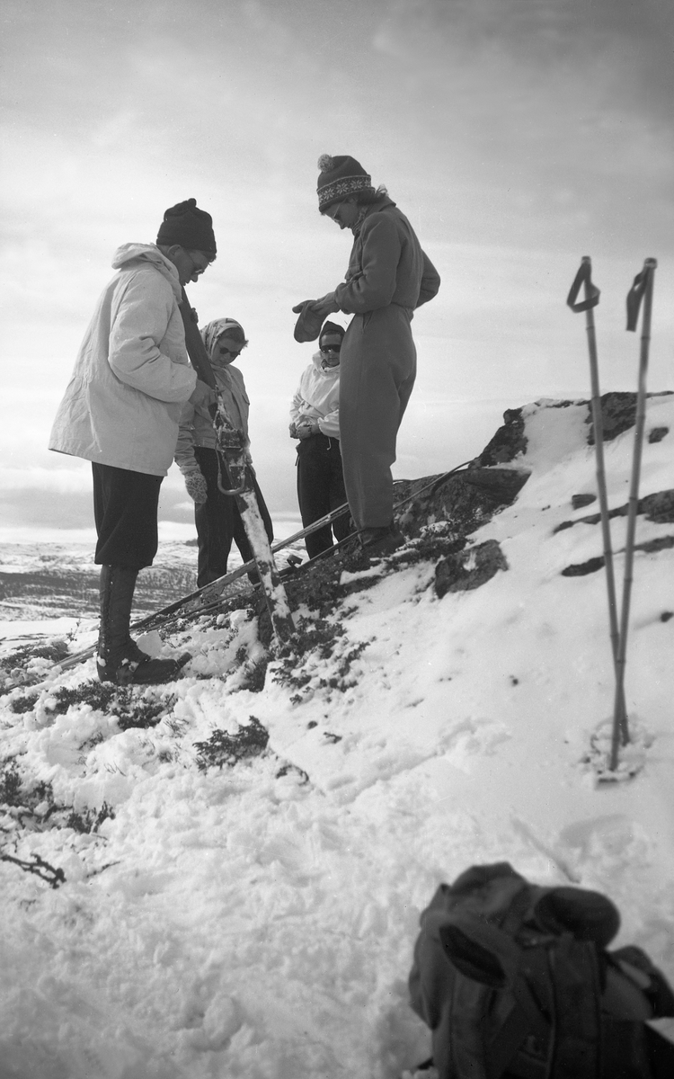 To unge kvinner og to unge menn, antagelig familiemedlemmer og venner av Arentz-familien, på skitur på Gråfjell i Sigdal. Fotografert påsken 1948.