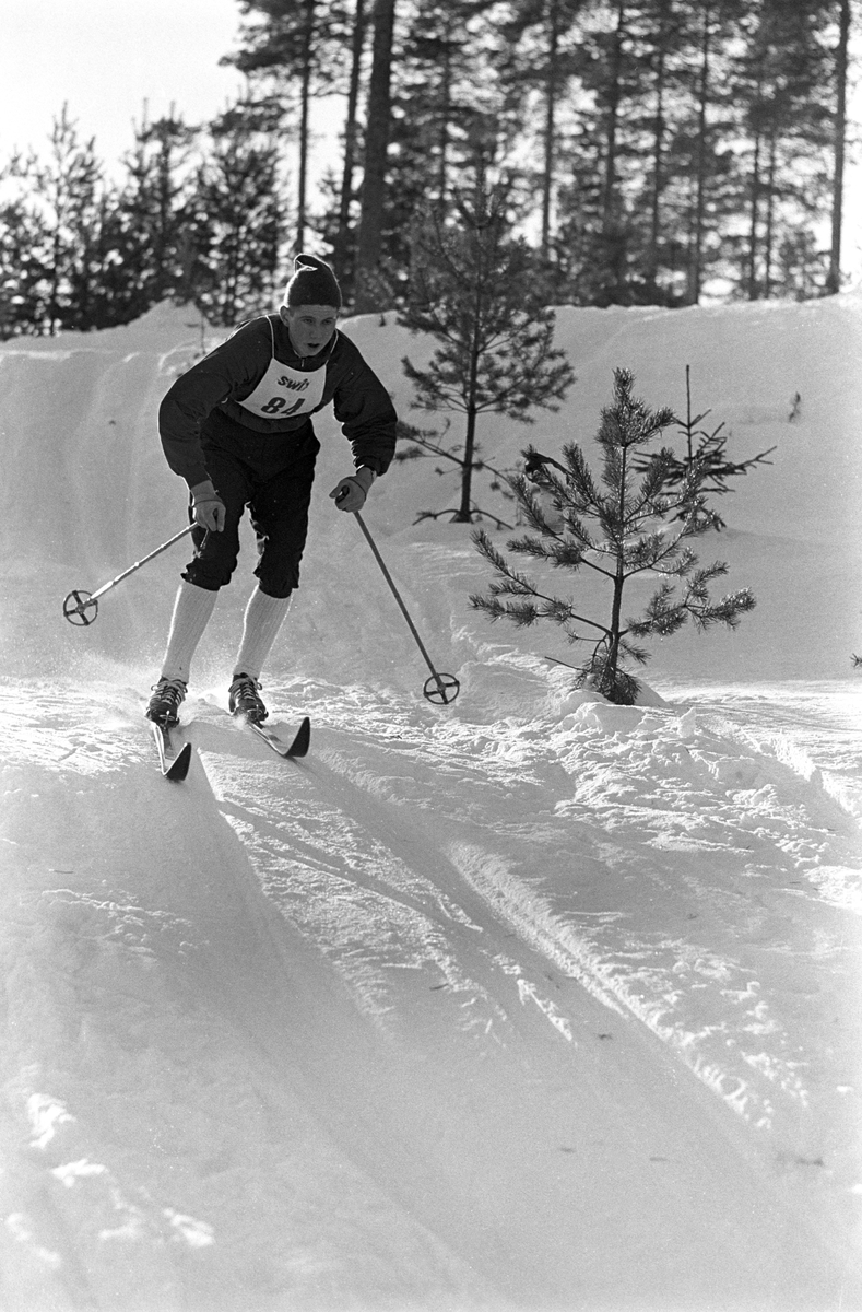 Skiløper med startnummer 84 i sporet under NM i langrenn for juniorer på Eidsvoll 1963.