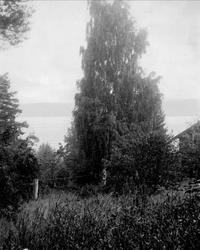 Svartskog, (Roald Amundsens Uranienborg) Oppegård kommune, A