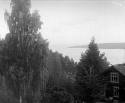 Svartskog, (Roald Amundsens Uranienborg) Oppegård kommune, A