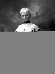 Portrett, kvinne i aftenkjole. Fru Sommerfeldt.