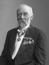 Portrett, Lauritz Lassen Brodtkorb (1832 - 1904), kjøpmann o