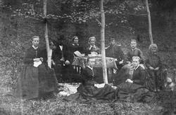 Familie på piknik i det grønne. Med bord og stoler.