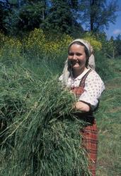 Hesjing i friluftsmuseet.
Kvinnelig vert i drakt i arbeid m