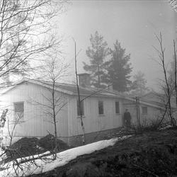 Hus i skogholt antakelig Tyskerbakker i Froland, fotografert