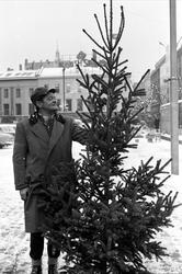 Juletresalg, ant. Oslo, desember 1964. Mann med juletre.
