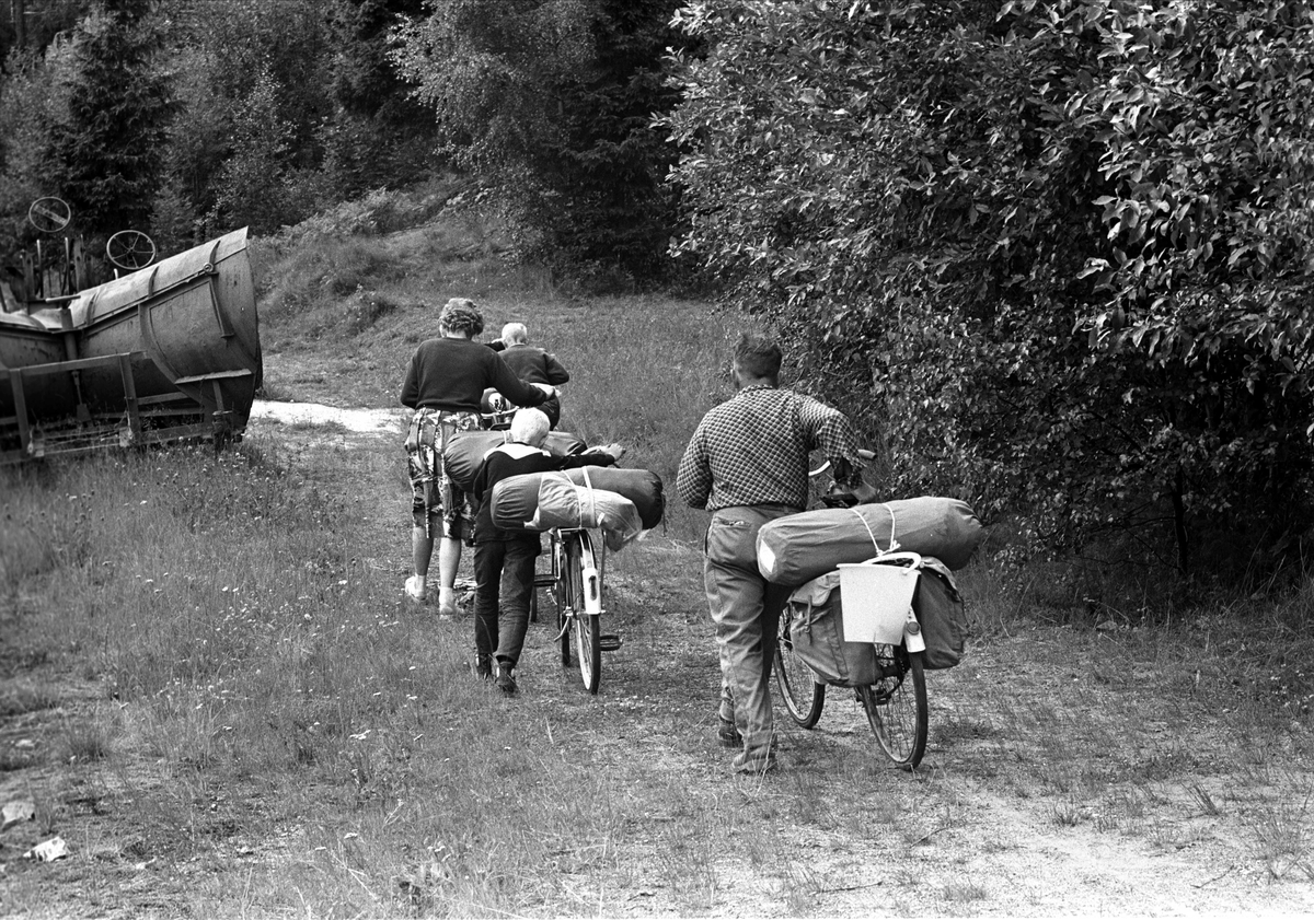 Langs riksvei 40, juli 1963. Familie på sykkeltur.