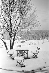 Snø i mai, Norge, 18.05.1965. Hagemøbler med snø.