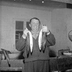 Arendal, 23.05.1958. Mann med fisk, makrell, antakelig hos f