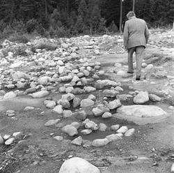 Helleristninger i Fredrikstad, Østfold, 26.08.1960. Steinfor