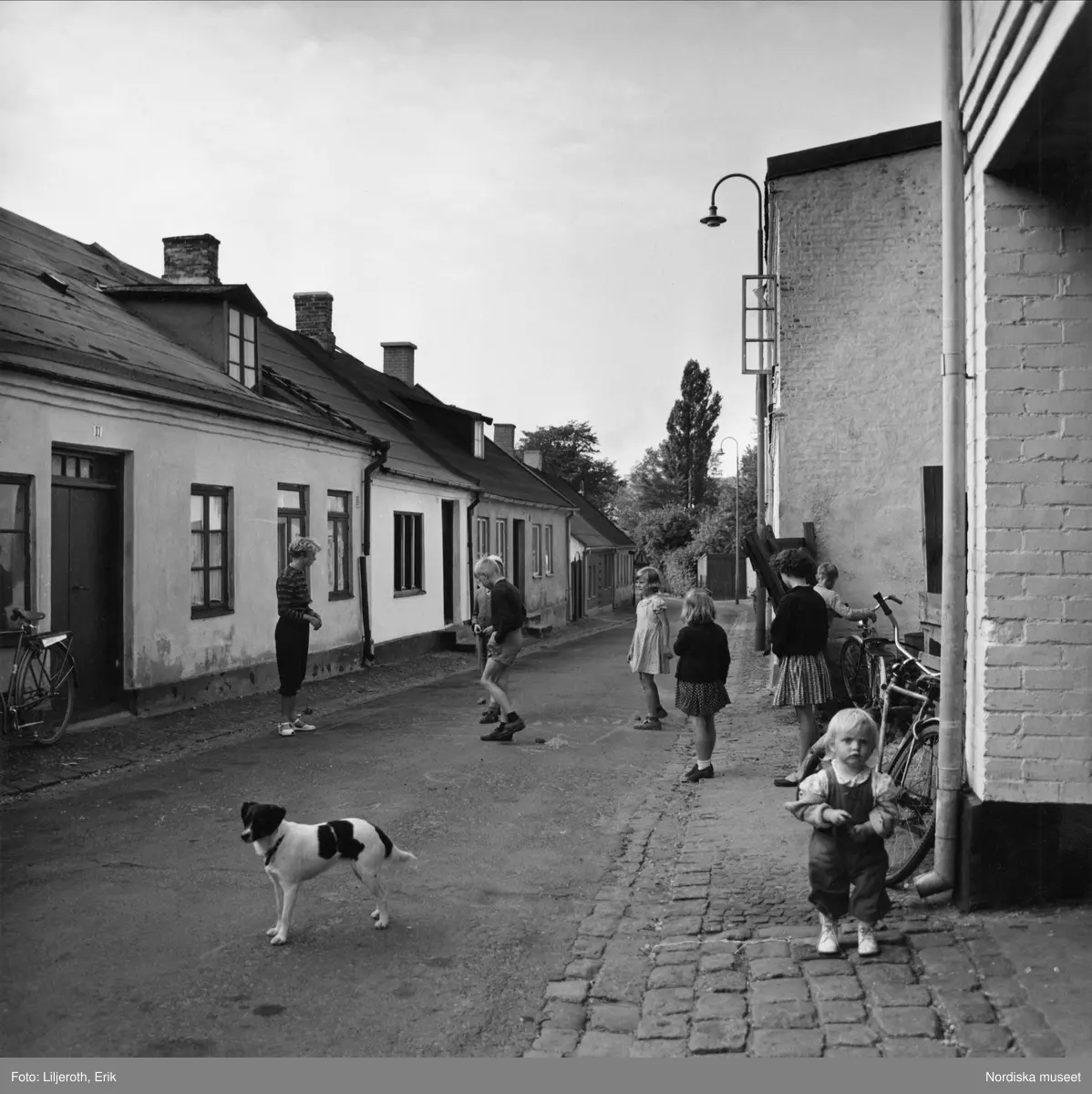 Barn och en hund som leker på en gata i Malmö.