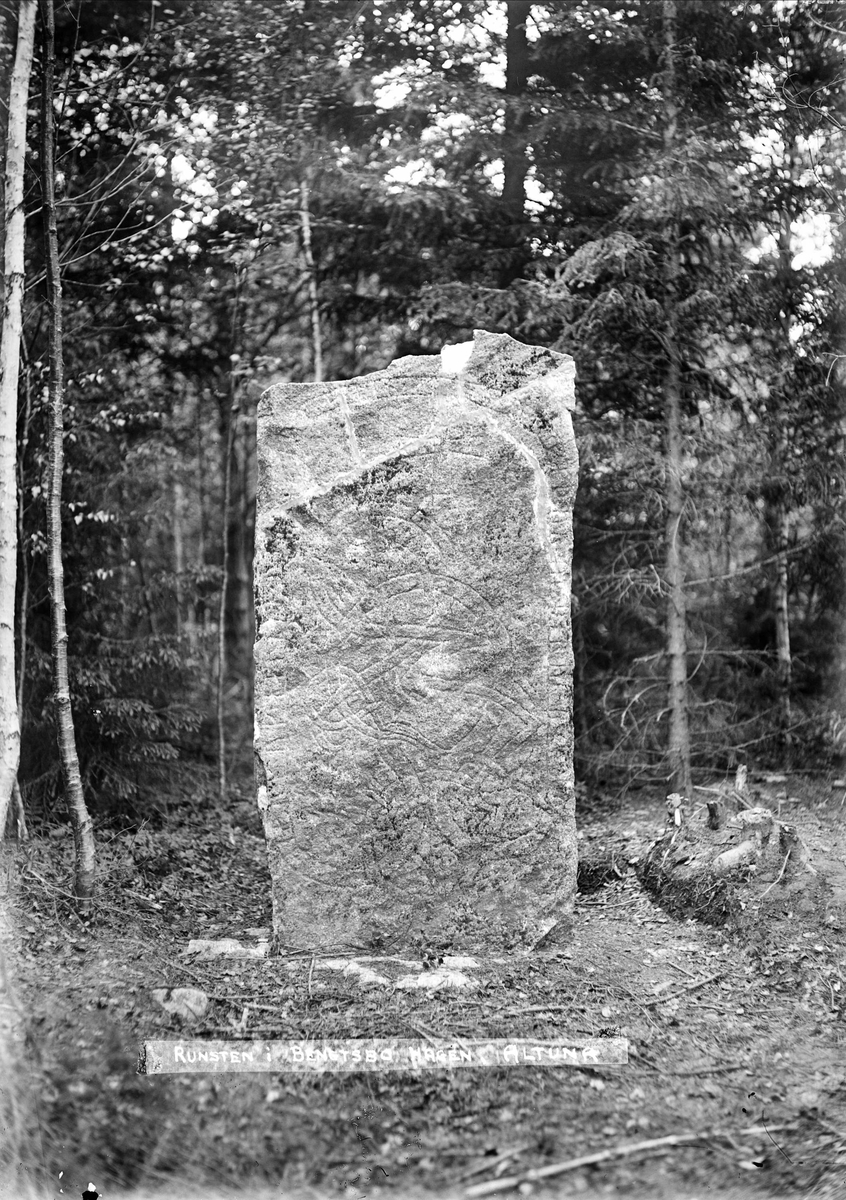 "Runsten i Bengtsbo hagen, Altuna, nyupprest på hösten 1924", Altuna socken, Uppland 1926