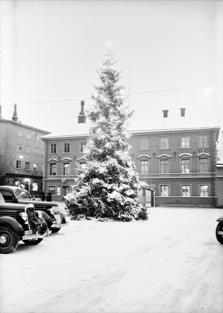 julgran uppsala Julgran på Fyristorg, Uppsala 1941   Upplandsmuseet / DigitaltMuseum