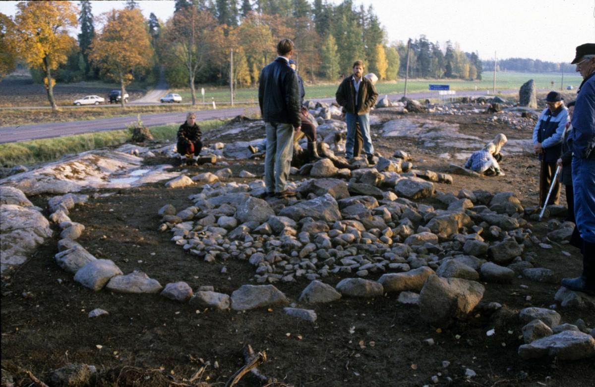 Utgrävning av ett romartida gravfält vid Graneberg, Litslena socken, Uppland 1994