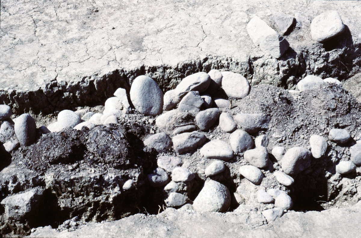 Kungsgårdsplatån, stensträng längs östra sidan - Arkeologi Gamla Uppsala 1990