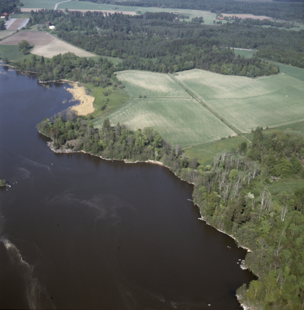 Vy över Kungshamn-Morga naturreservat i Morgastugan vid ...