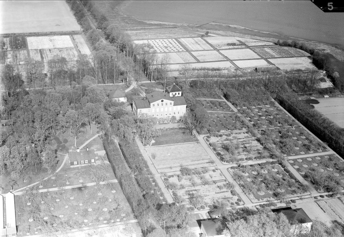 Flygfoto över Krusenbergs herrgård, Alsike socken, Uppland 1936