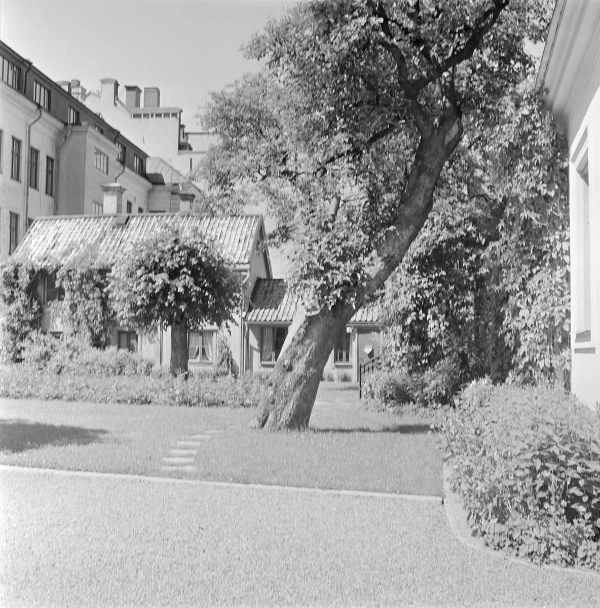 Uppsala läns landstings huvudbyggnad, kvarteret Trädgården, Uppsala 1959