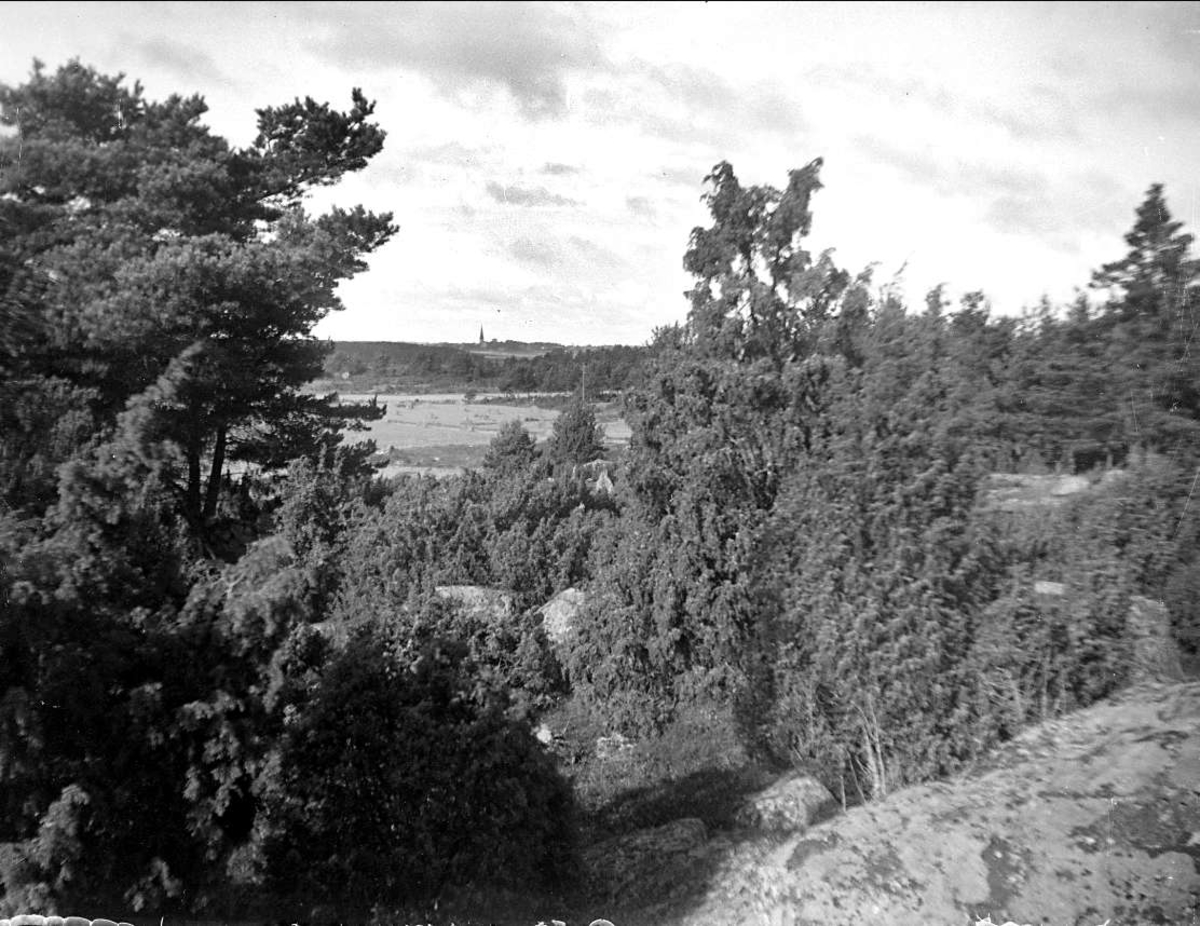 Landskapsvy, eventuellt med Vaksala kyrka i fonden, Uppland 1928