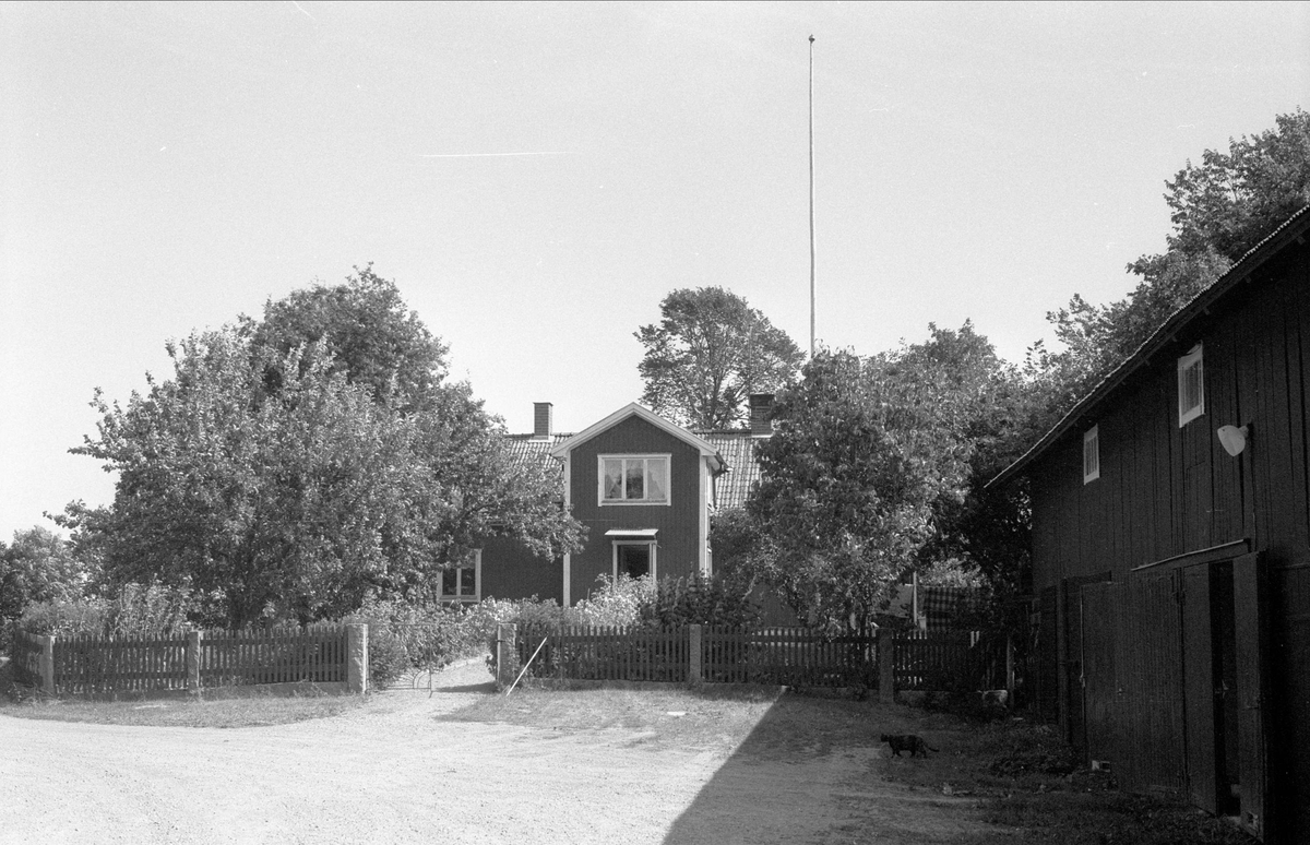 Bostadshus, Alsta 2:3, Börje socken, Uppland 1983
