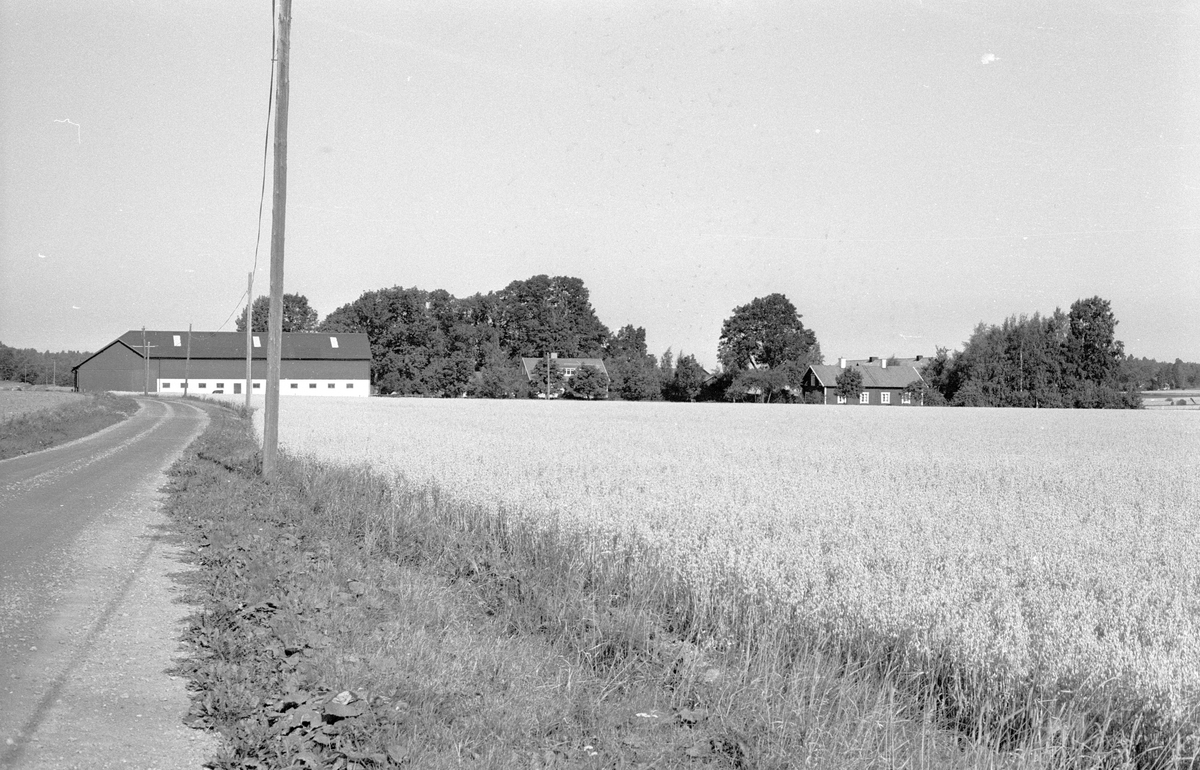 Vy över Ängeby 2:3, Ängeby, Börje socken, Uppland 1983