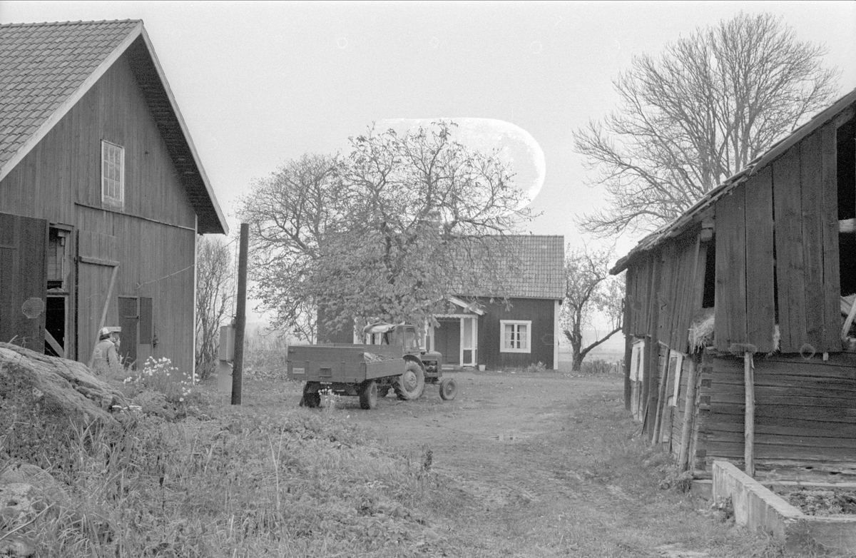 Lada/lider, mangårdsbyggnad och ladugård/magasin, Fullerö 16:4, Gamla Uppsala socken, Uppland 1978