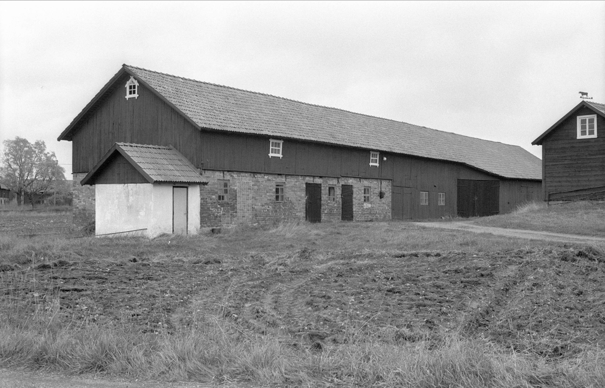 Ladugård, stall och lada, Oxsätra 1:17, Bälinge socken, Uppland 1983