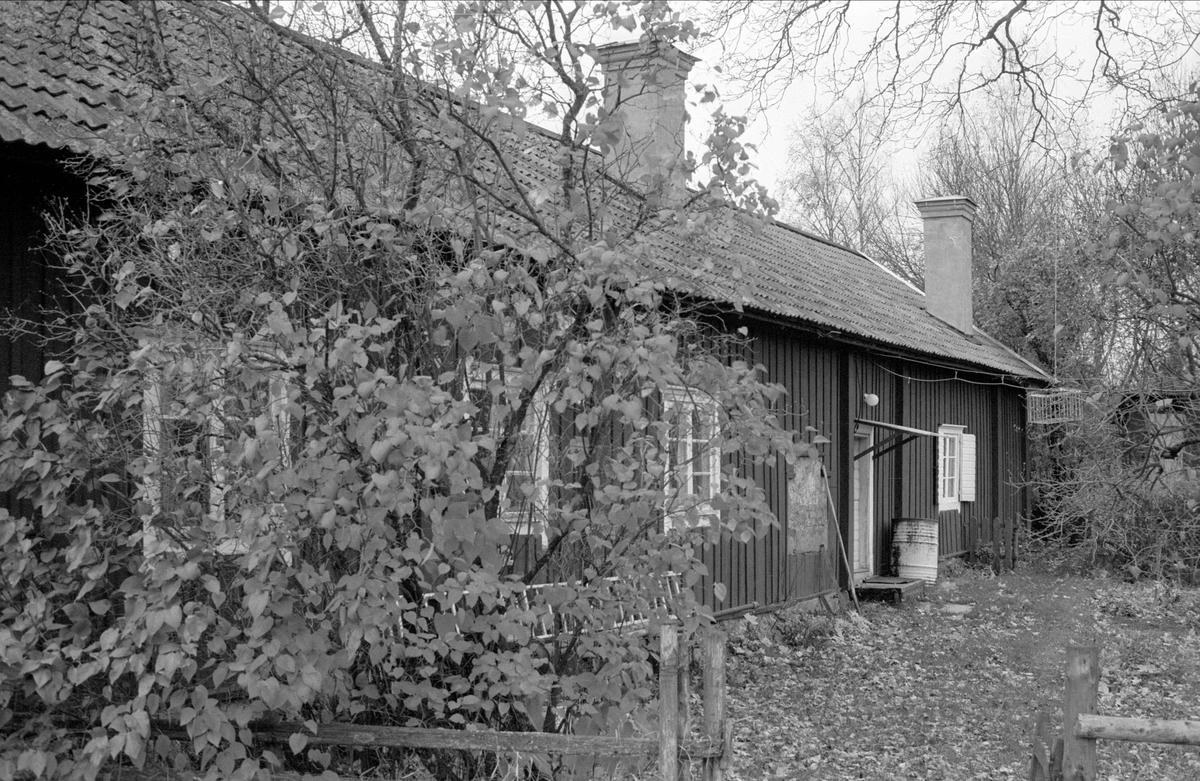 Bostadshus, Pålsbo 1:1, Bälinge socken, Uppland 1983