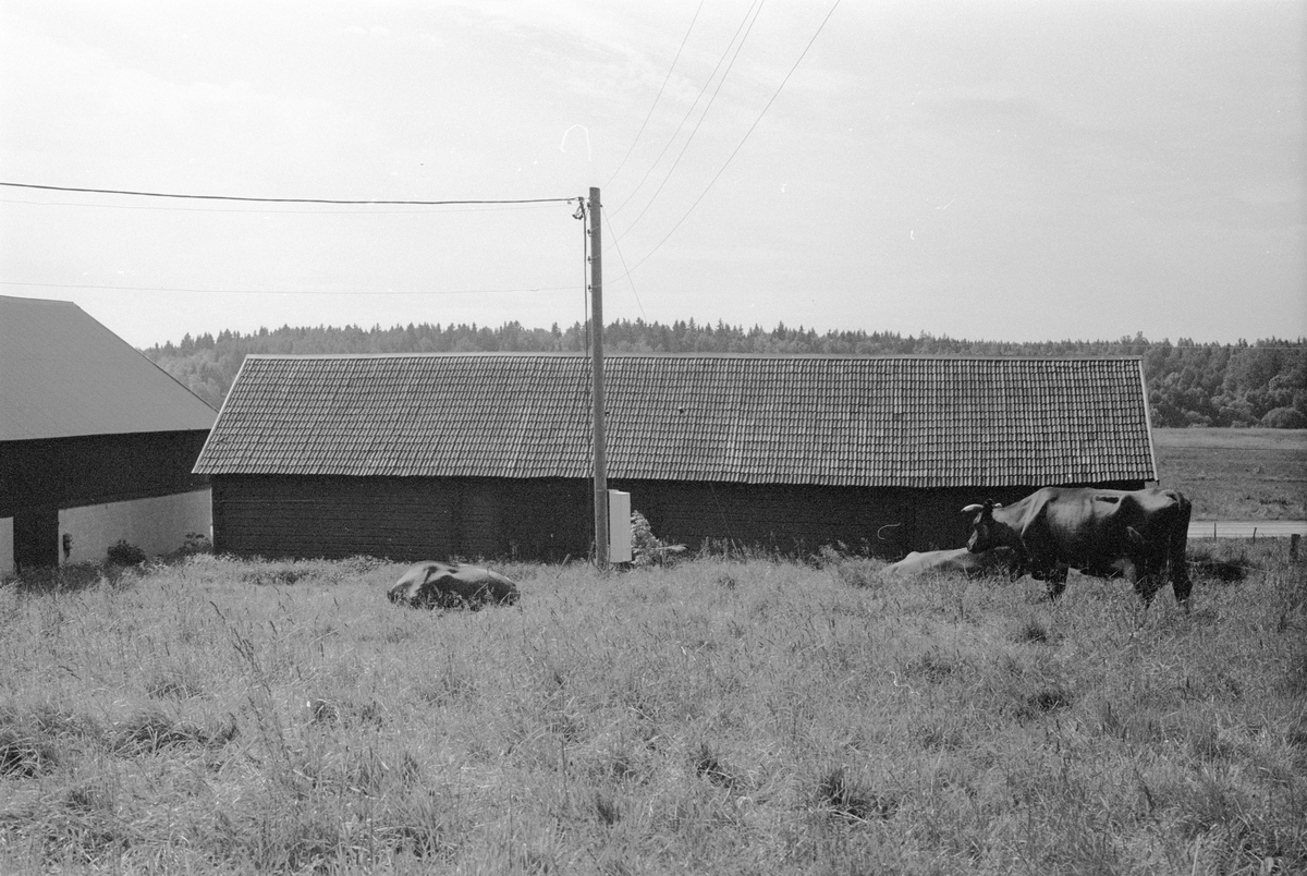 Loge, Burvik 3:9, Burvik, Knutby socken, Uppland 1987