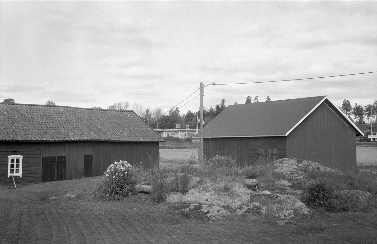 Ladugård och lada, Lilla Väsby 1:49, Almunge socken, Uppland 1987
