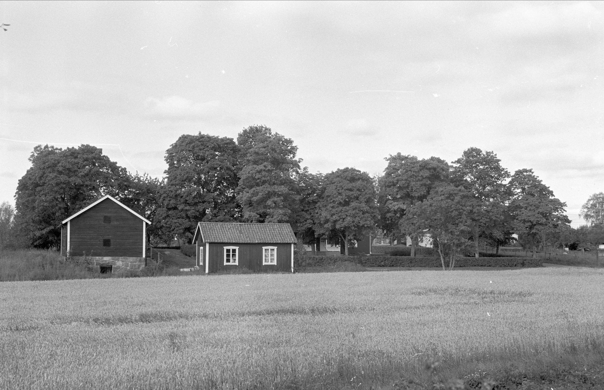 Vy över Lilla Väsby 1:32, Almunge socken, Uppland 1987