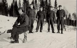 Fred på jorden! - utdrag fra en flyktnings dagbok fra krigen