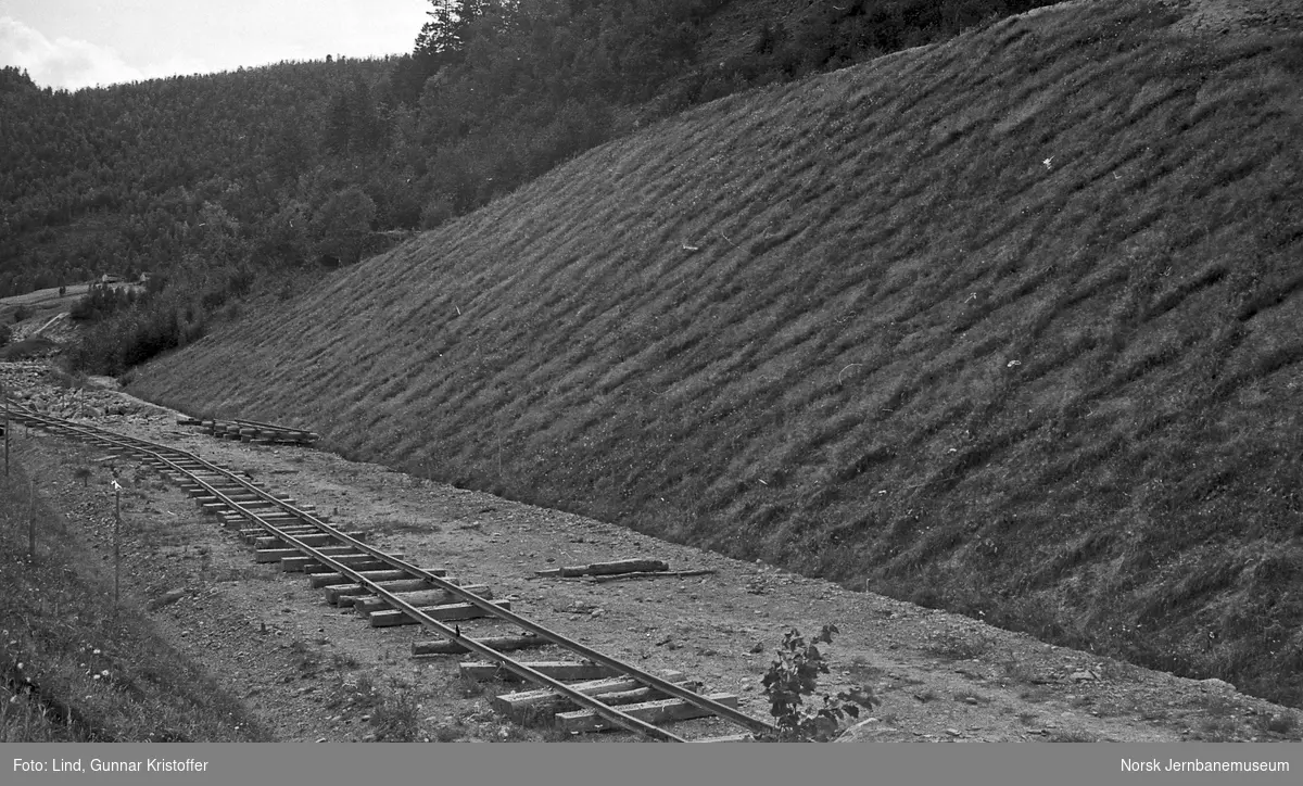Nordlandsbaneanlegget : matjordpålegging i skjæring ved Tømmerdal