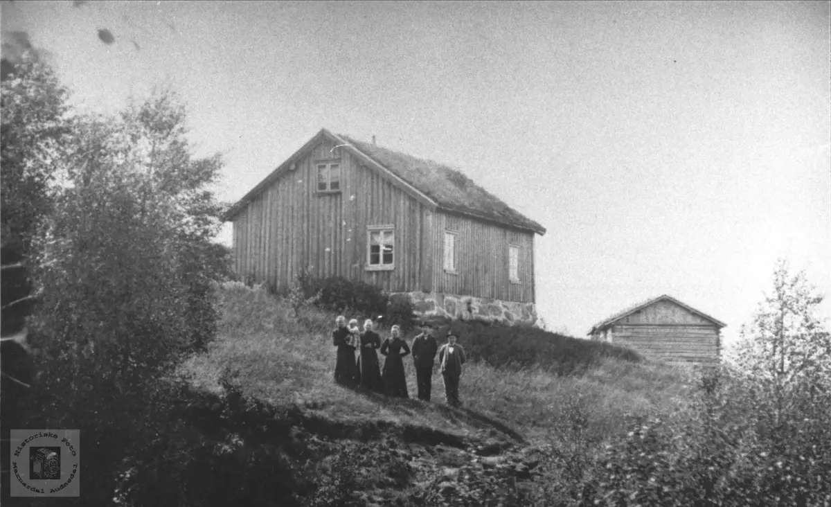 Roland og Valebrok folk ved Roslivollen, Bjelland.