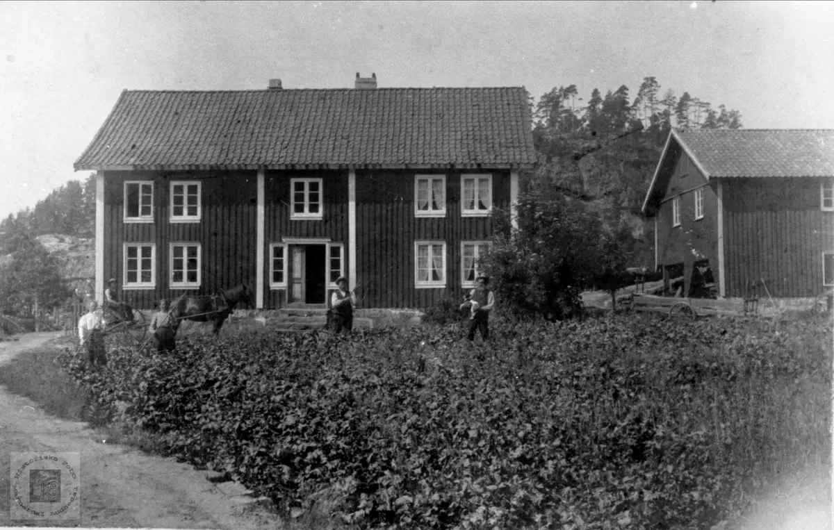 Slåttetid (Høyonn) på Høye, Øyslebø.