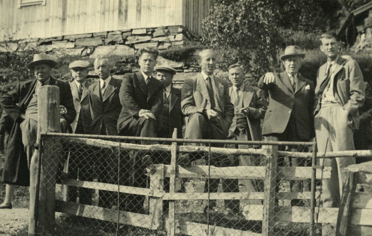 Jernbanekommisjonen av 1949s befaring i 1952, i Hellandsbygd. Ni menn står oppstilt bak et gjerde.