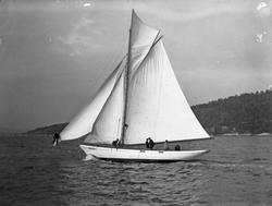 'Astrid' i regatta, Vestfjord, 1896