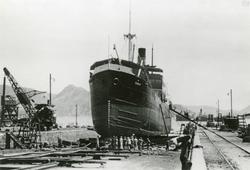 D/S Dukat (b.1920, The New Engineering & Shipbuilding Works 